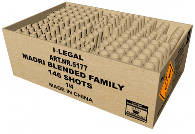 Mario Blended Family