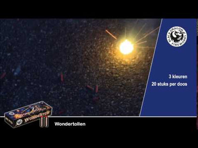 Grondbloem black dragon 20 stuks