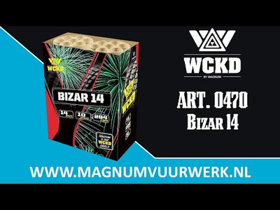 Bizar 14    14 shots • all-at-once