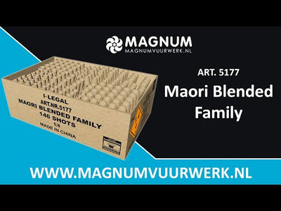 Mario Blended Family